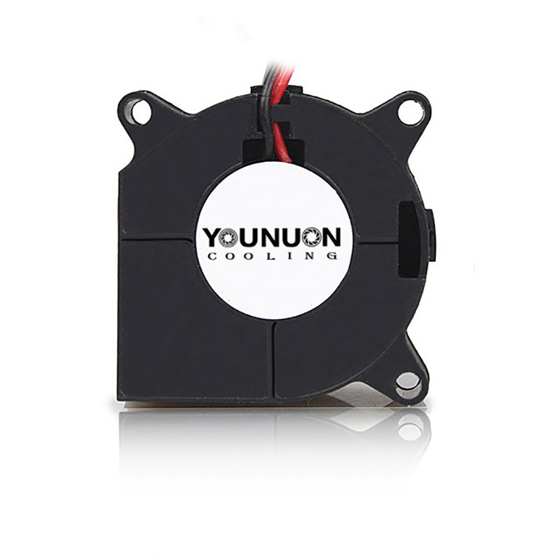 2 pezzi 40mm ventilatore 4020  - Cooling Fan 40Mm 3D recensione e prezzo